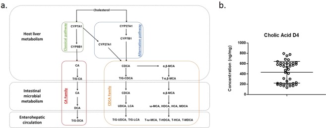 PMC7080769 – Fig2
