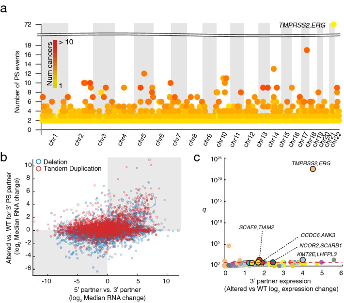 PMC7584658 – Fig2