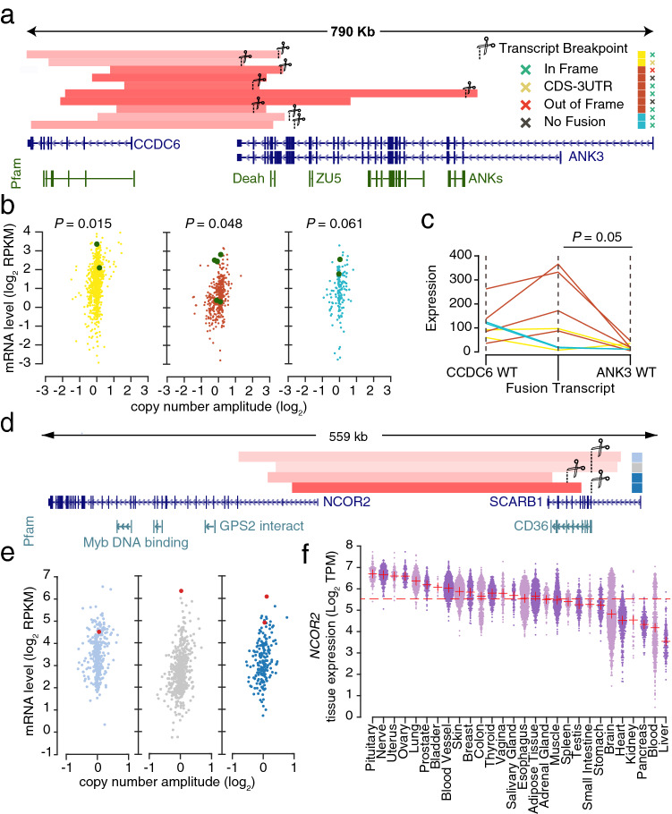 PMC7584658 – Fig4