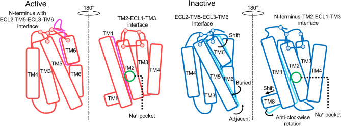 PMC8595625 – Fig8