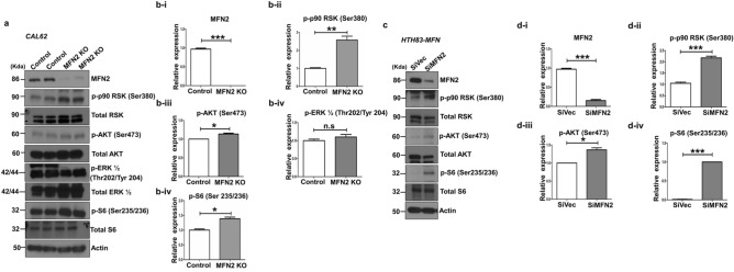 PMC7820342 – Fig4