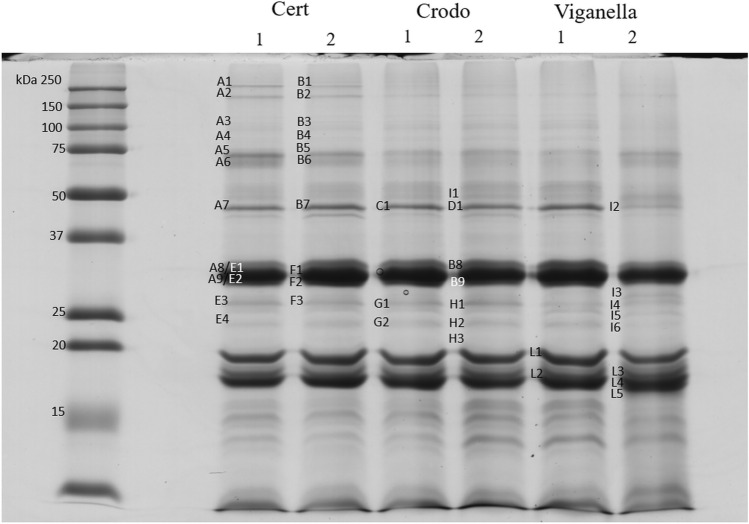 PMC7887209 – Fig5