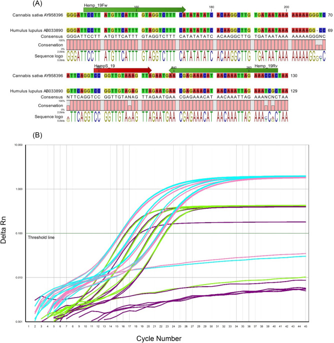 PMC7910487 – Fig5