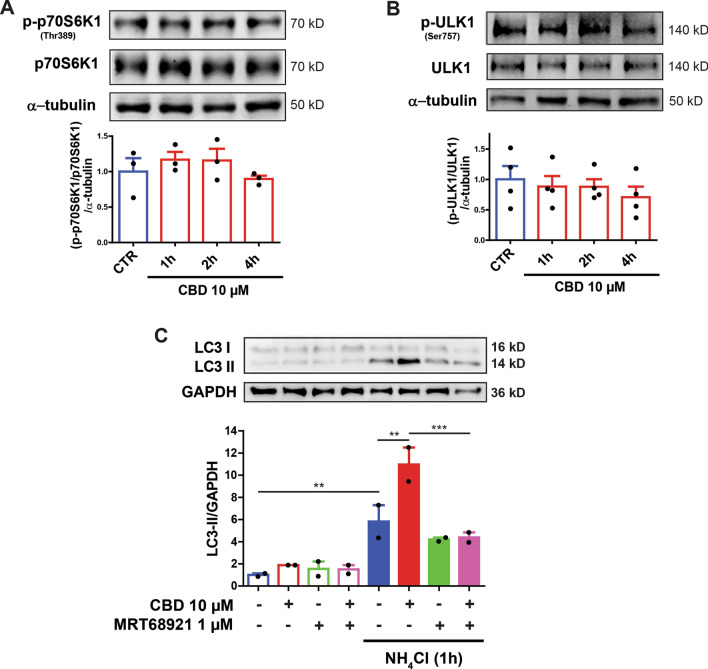 PMC7940388 – Fig5