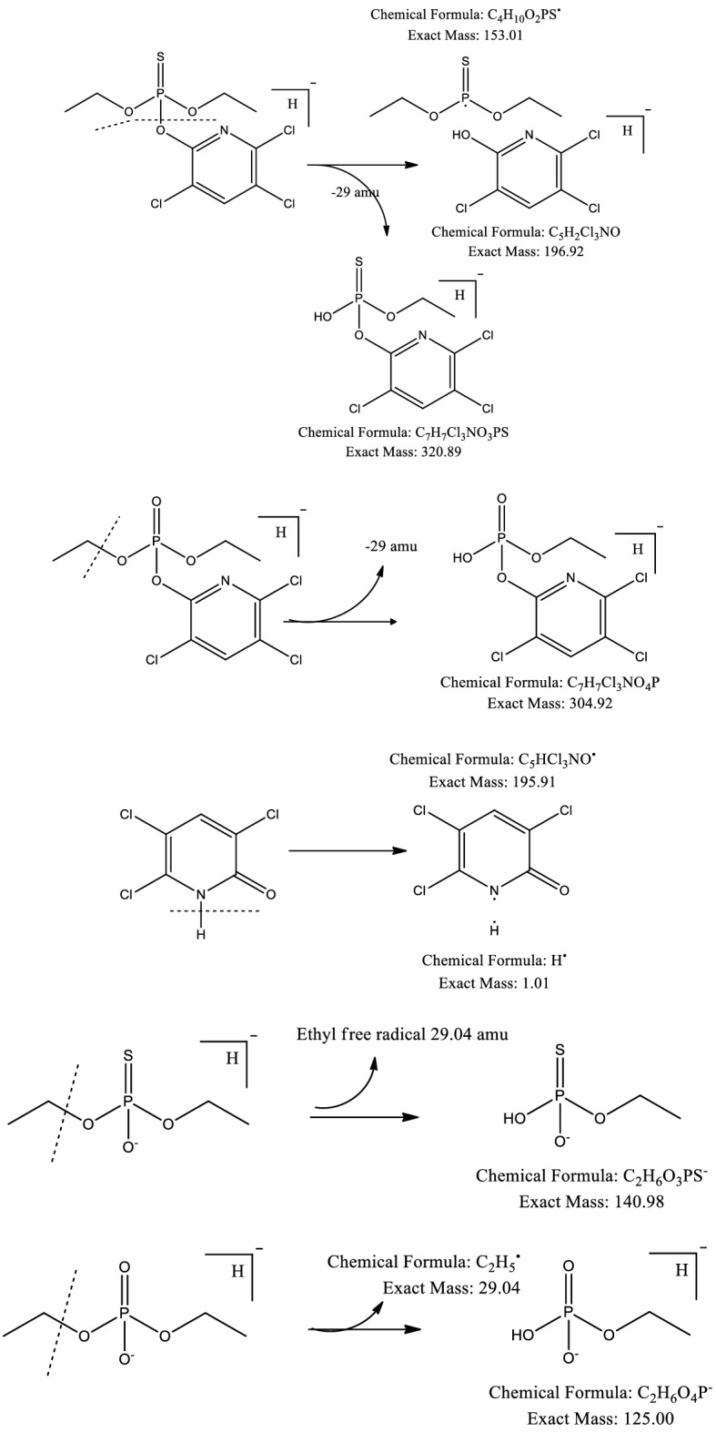 PMC8121937 – Fig4