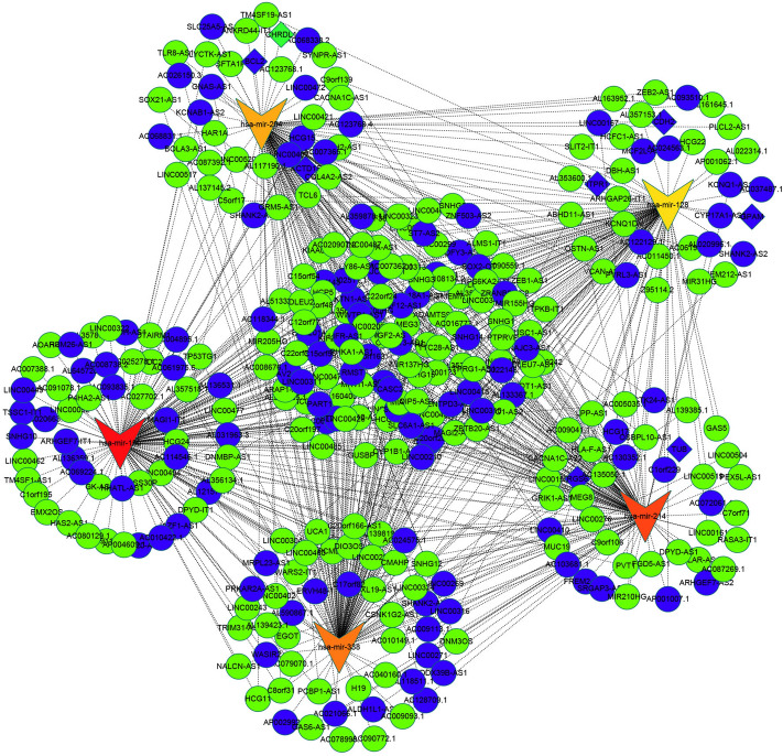 PMC8355328 – Fig10