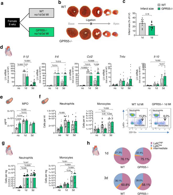 PMC8277802 – Fig2