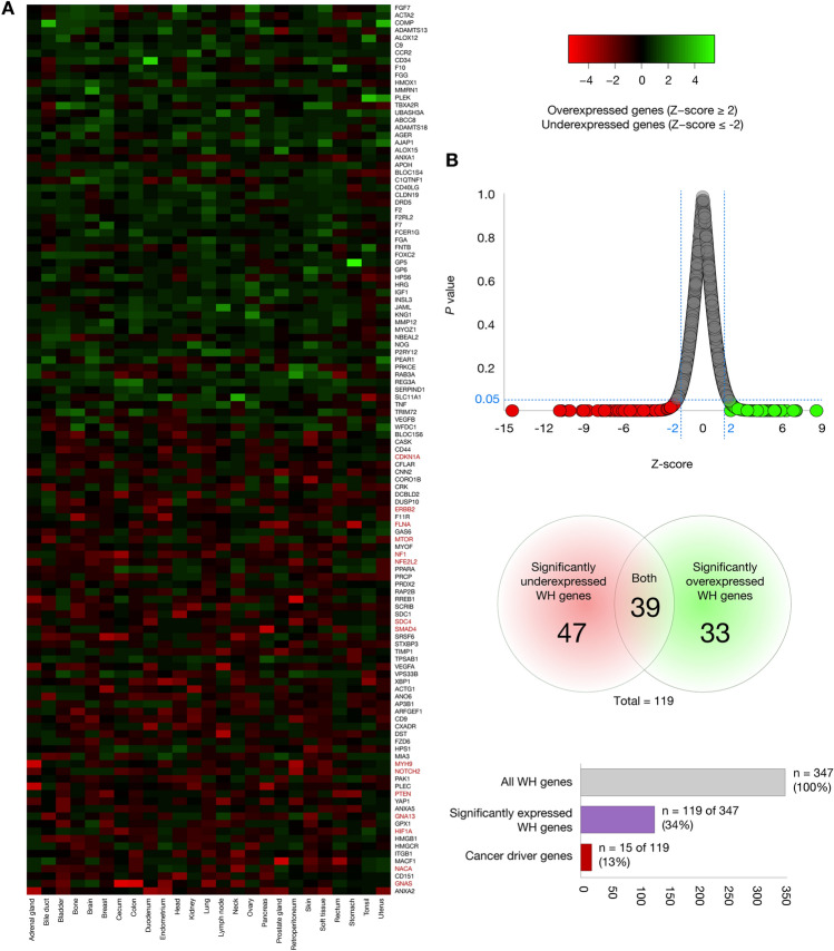 PMC8390472 – Fig3