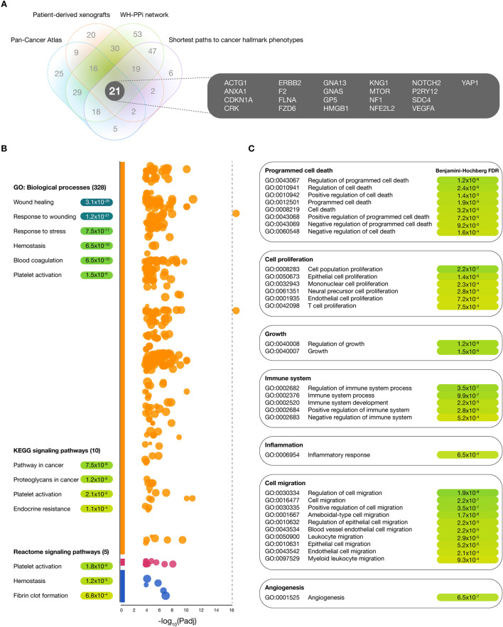 PMC8390472 – Fig6