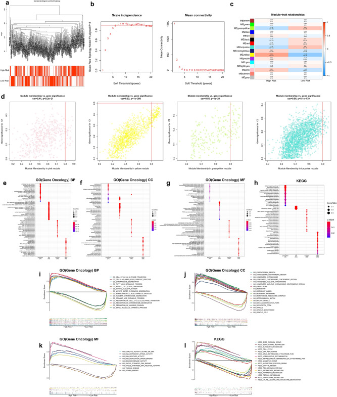 PMC8460833 – Fig10