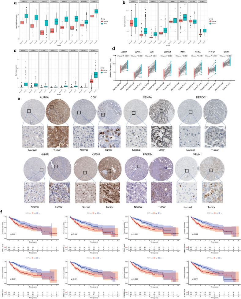 PMC8460833 – Fig11