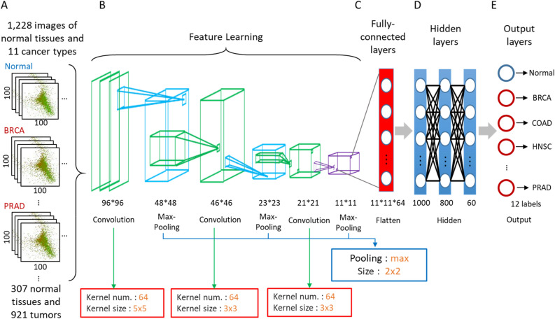 PMC8526703 – Fig3