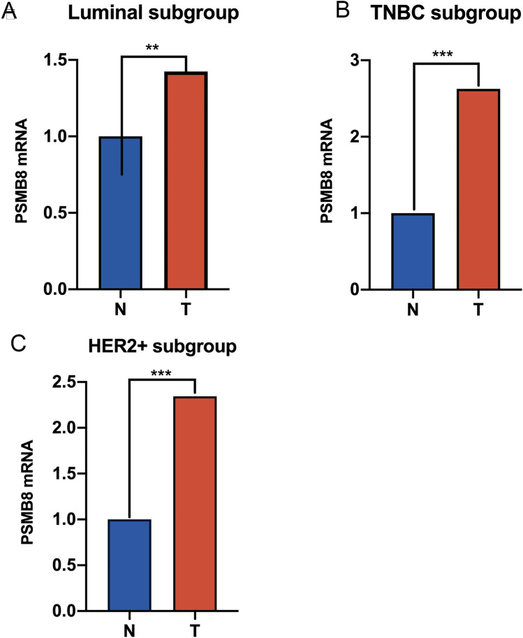 PMC8516870 – Fig12
