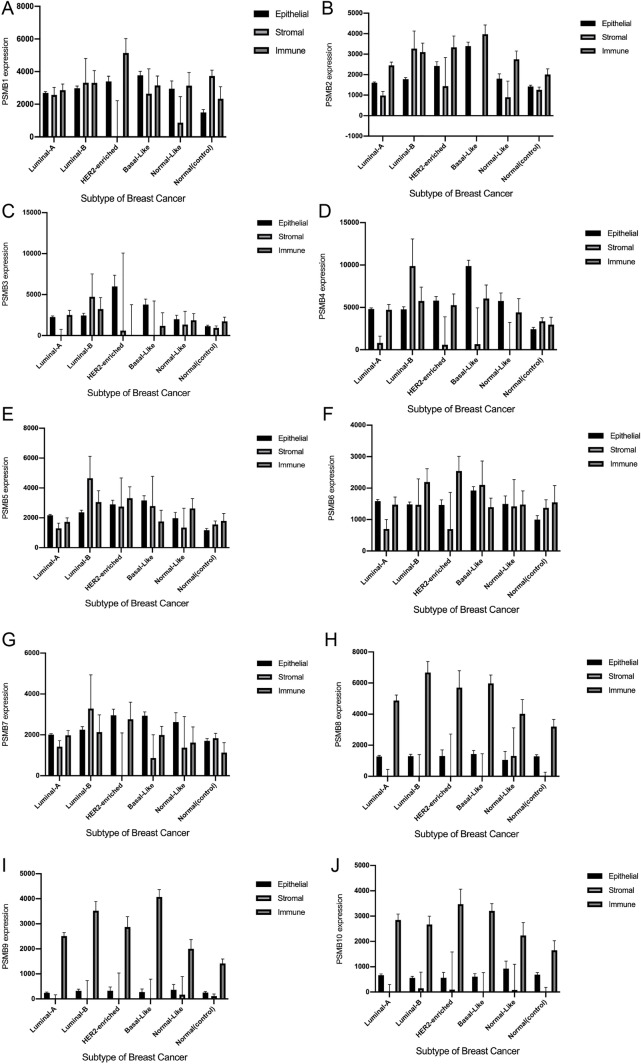 PMC8516870 – Fig13