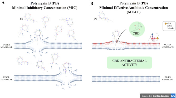 PMC9018834 – Fig2