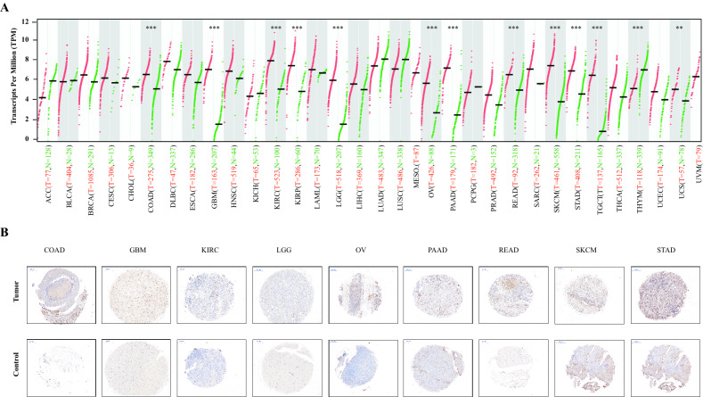 PMC9098459 – Fig1