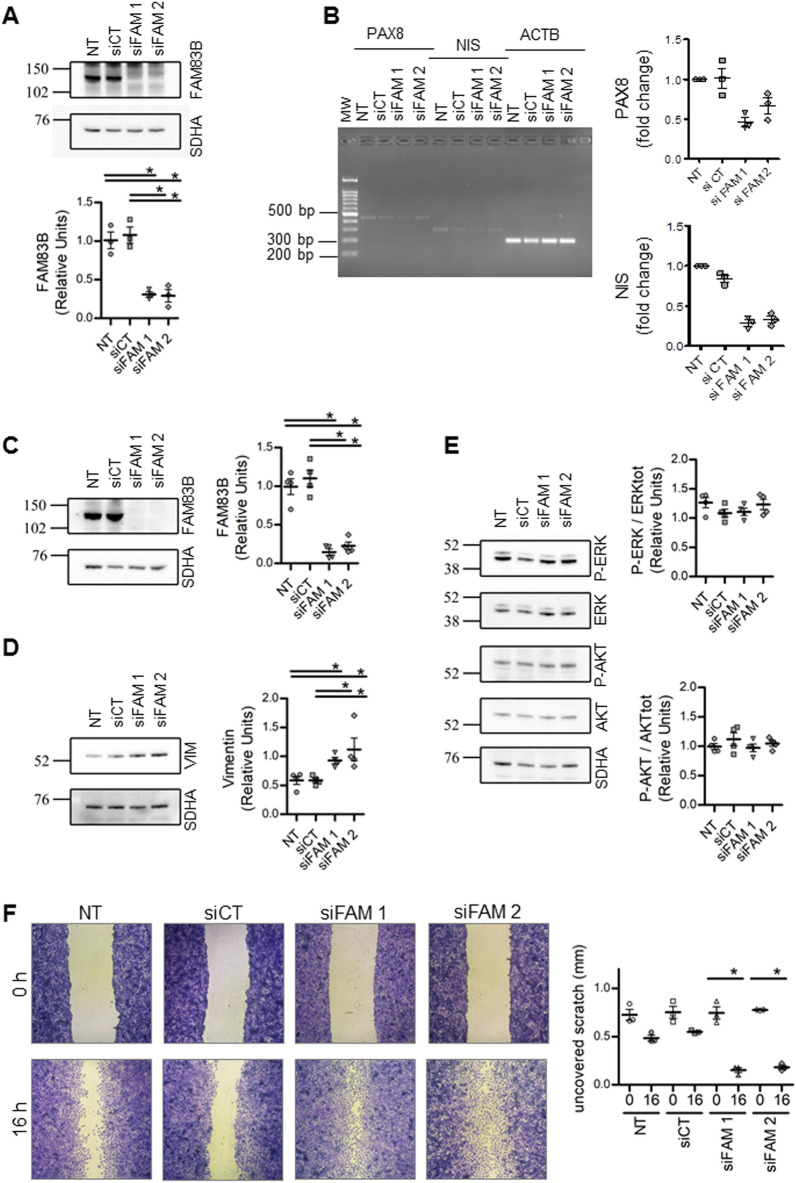 PMC9124208 – Fig6