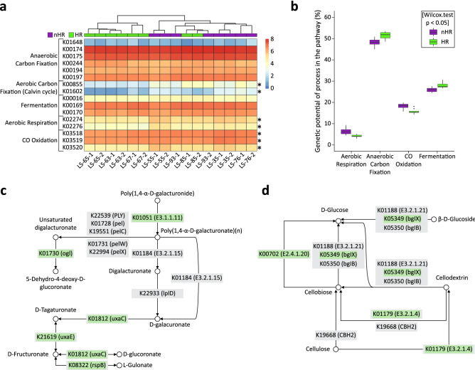 PMC9132974 – Fig7
