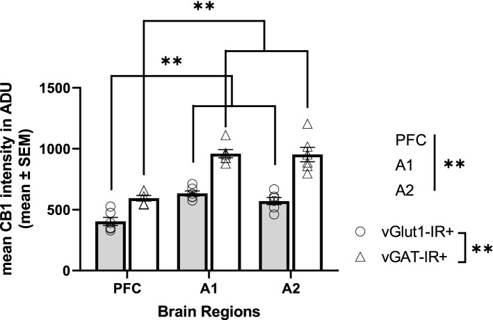 PMC9187707 – Fig5