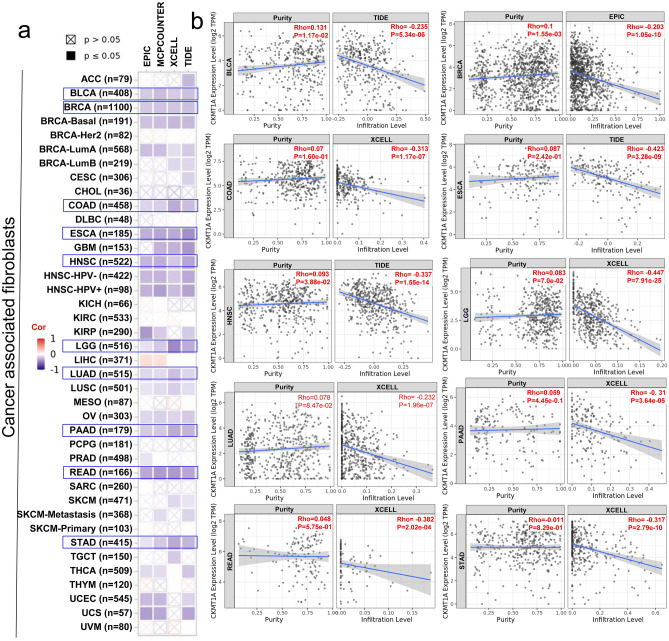 PMC9200842 – Fig4