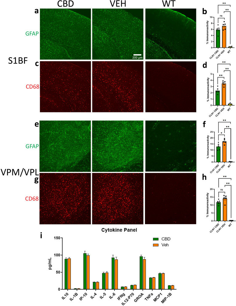 PMC9253004 – Fig1