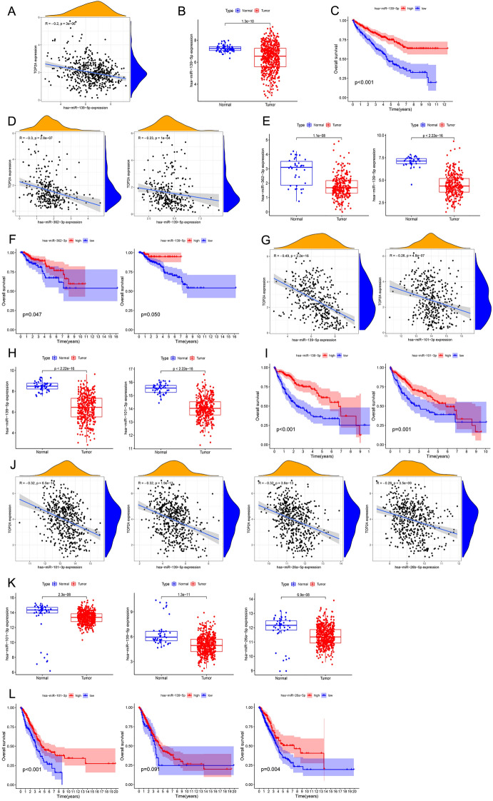 PMC9249858 – Fig5