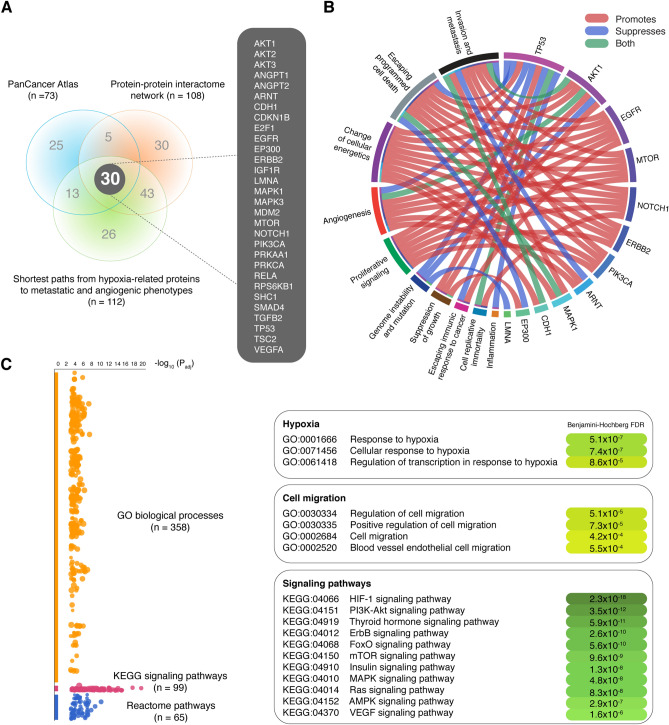 PMC9246854 – Fig7