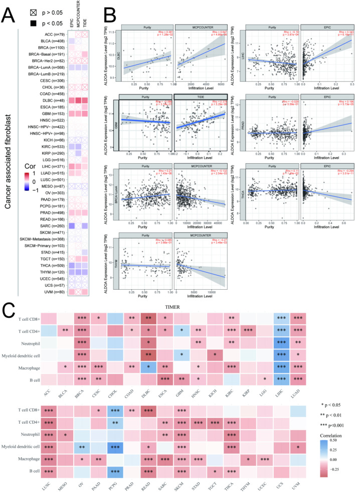 PMC9270404 – Fig4