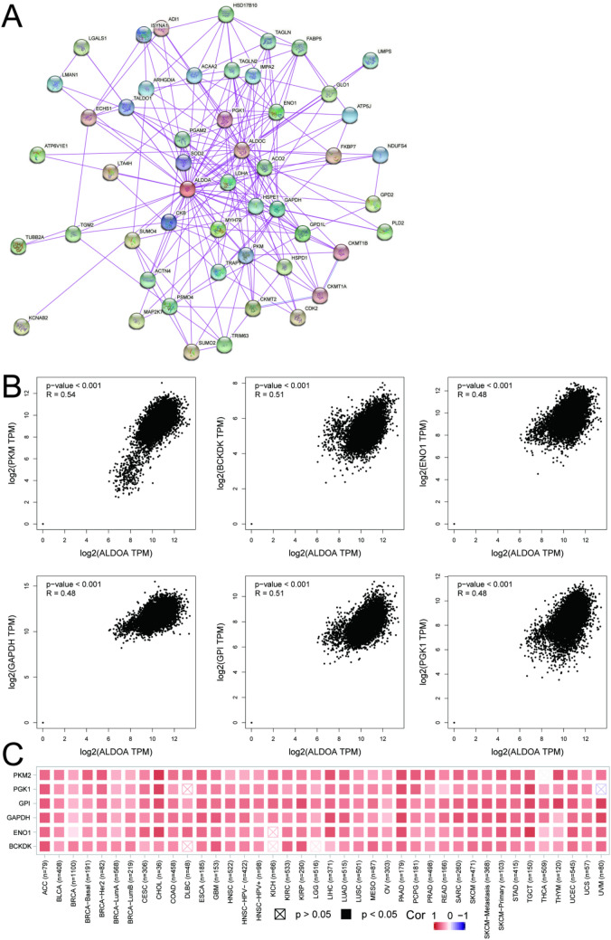 PMC9270404 – Fig5