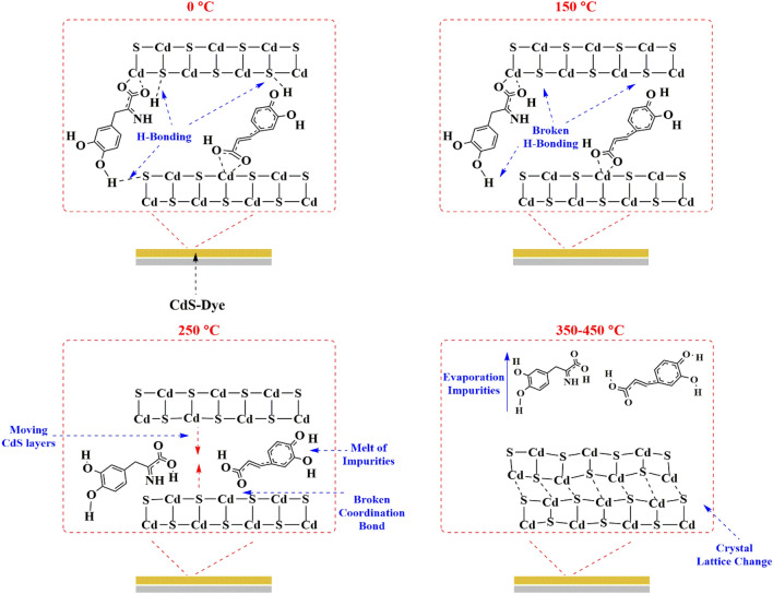 PMC9307632 – Fig11