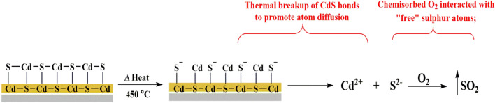PMC9307632 – Fig12