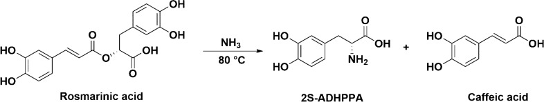 PMC9307632 – Fig13