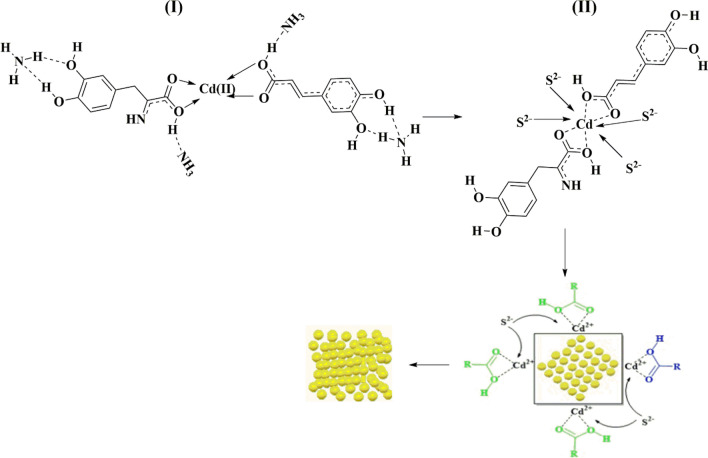 PMC9307632 – Fig14