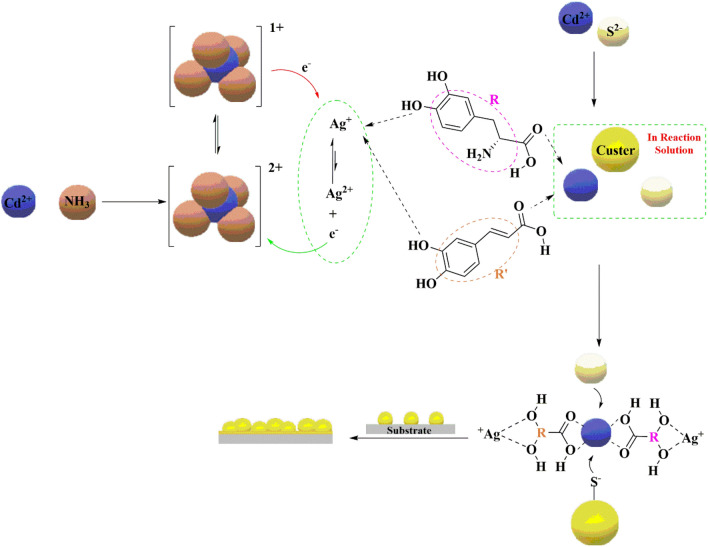 PMC9307632 – Fig15