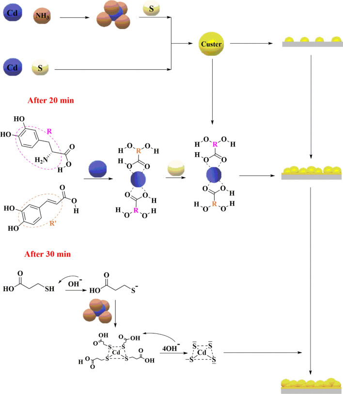 PMC9307632 – Fig16
