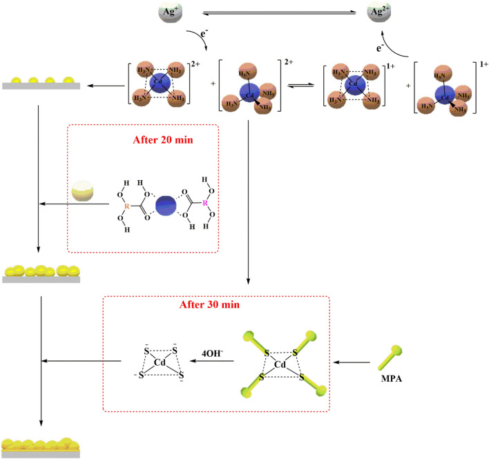 PMC9307632 – Fig17