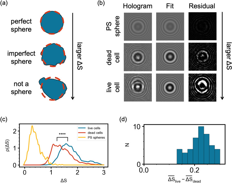 PMC9325748 – Fig5