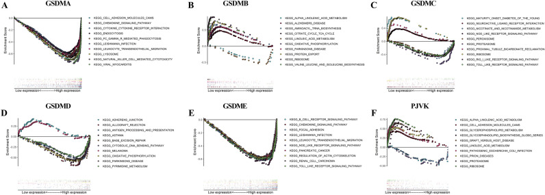 PMC9349317 – Fig12