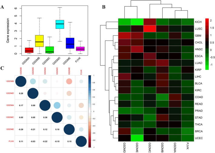PMC9349317 – Fig2