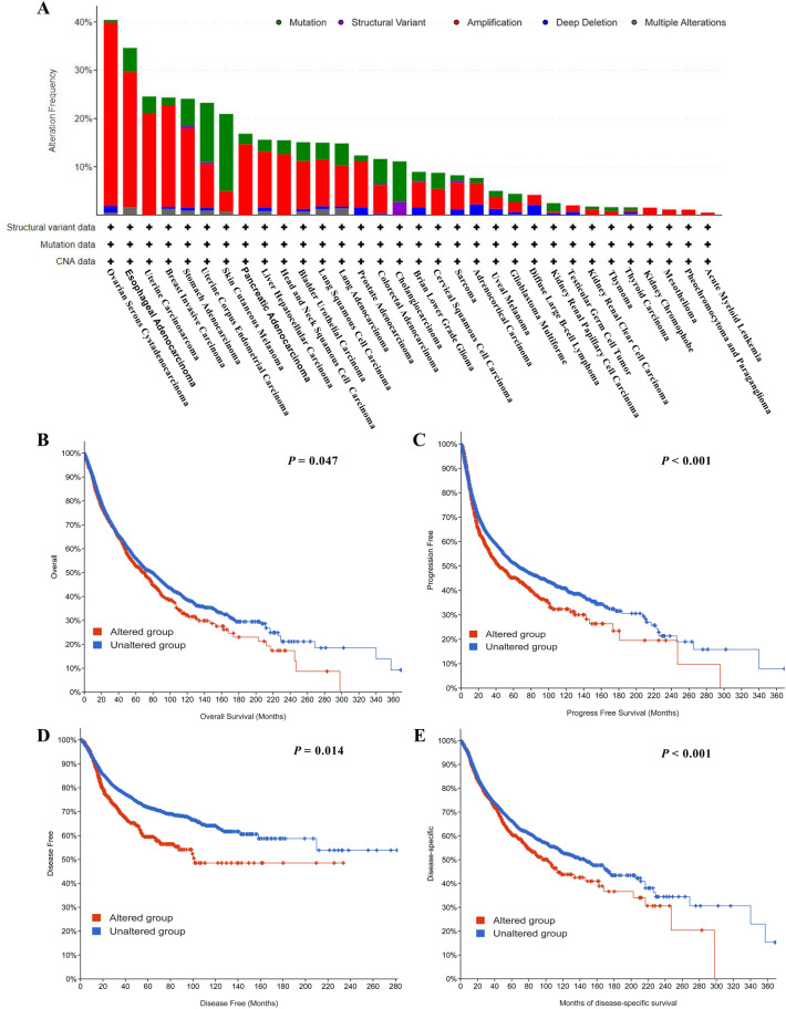 PMC9349317 – Fig6