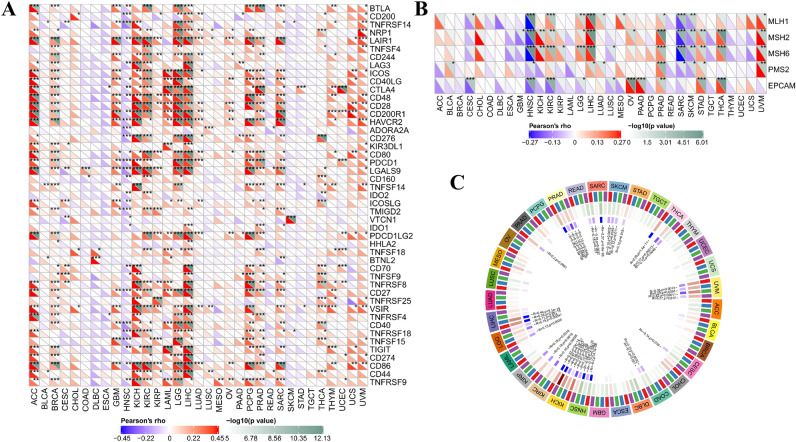 PMC9349317 – Fig9