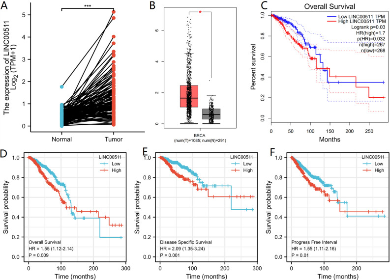 PMC9428000 – Fig11