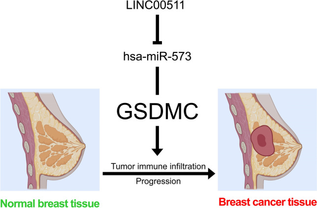 PMC9428000 – Fig15