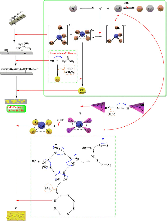 PMC9468032 – Fig11