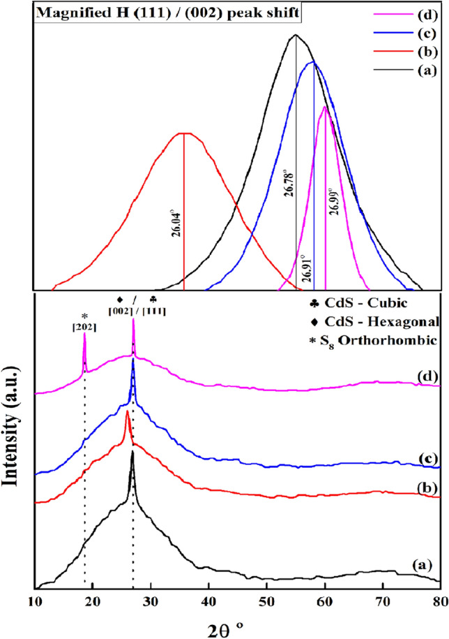 PMC9468032 – Fig4