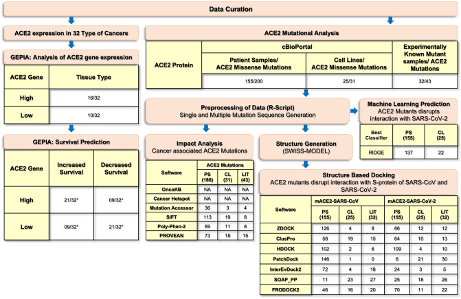 PMC9910265 – Fig2