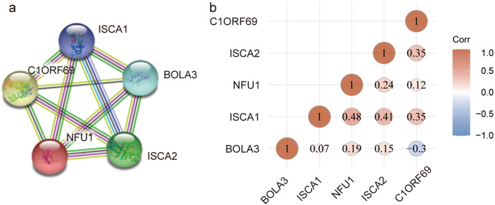 PMC9669015 – Fig1