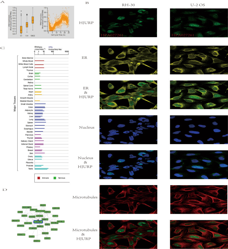 PMC9718852 – Fig2