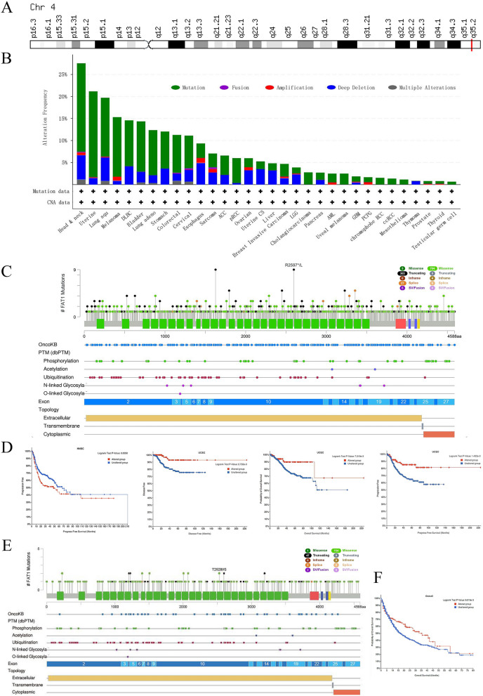 PMC9751142 – Fig4