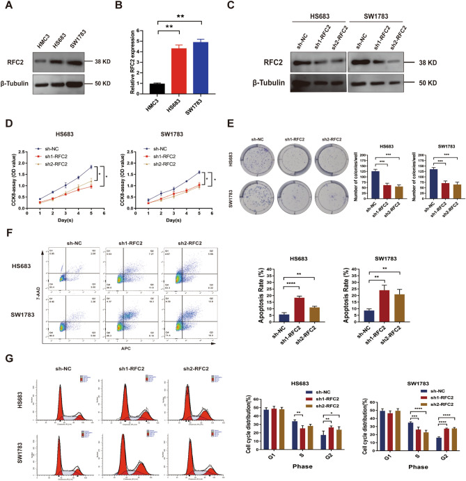 PMC8873322 – Fig10